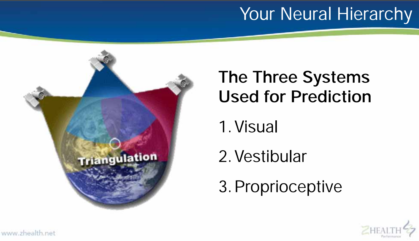 Z Health Neural Hierarchy